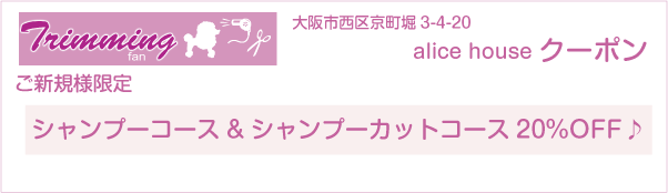 大阪市西区のalice houseのクーポン券