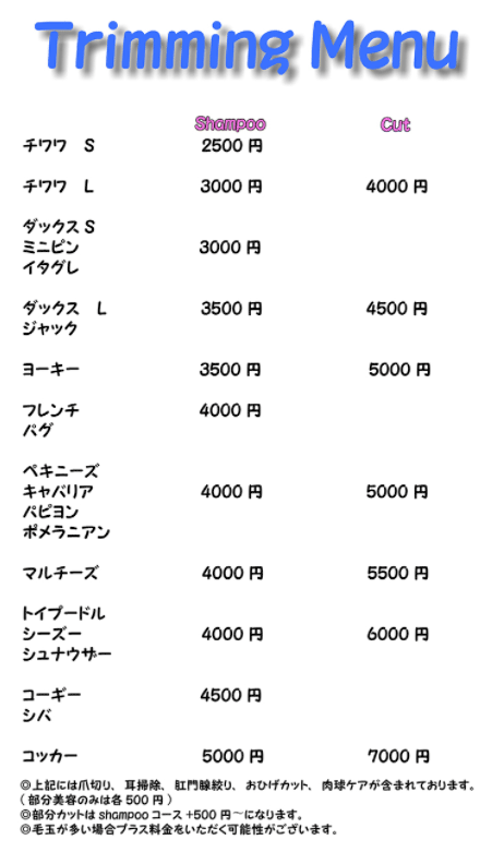 トイプードルとシーズーとシュナウザーはカット込みで6000円からです。