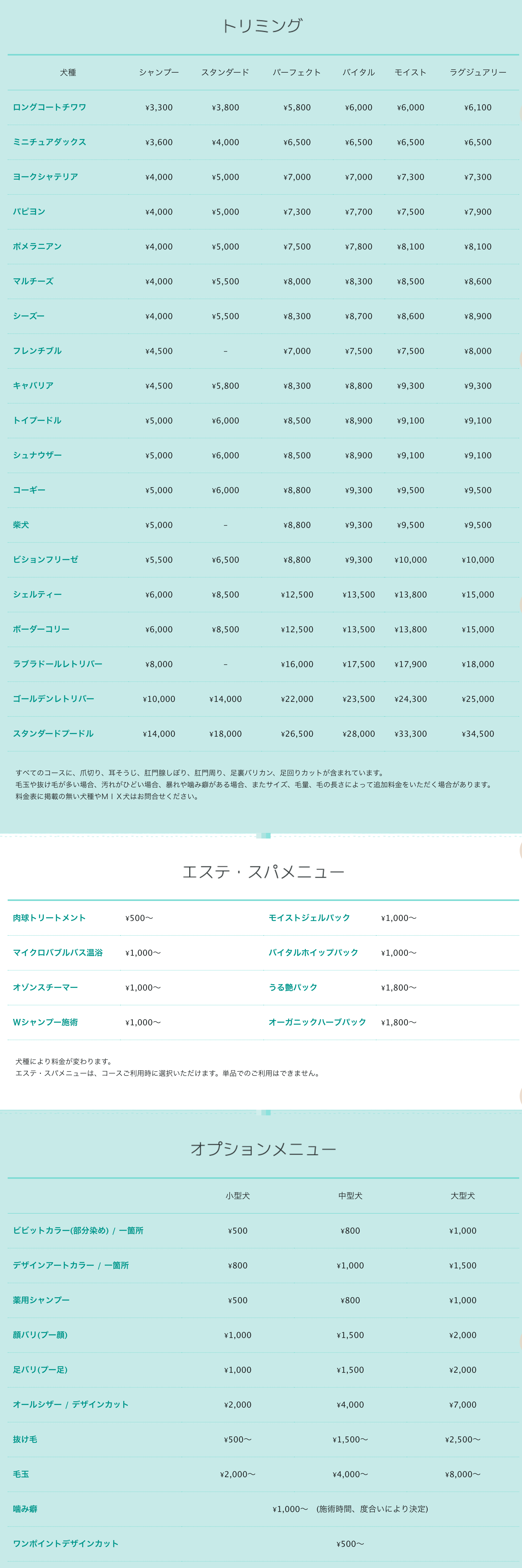 シャンプーコースからラグジュアリーコースまで6種類の価格があります