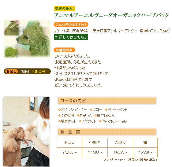 トイプードルのカット価格など