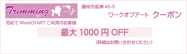 静岡県藤枝市のWorkOfART(ワークオブアート)のクーポン券