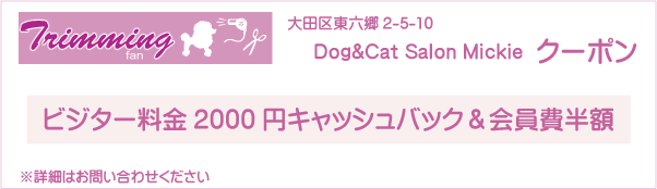 東京都大田区のトリミングサロン Dog&Cat Salon Mickieのクーポン券