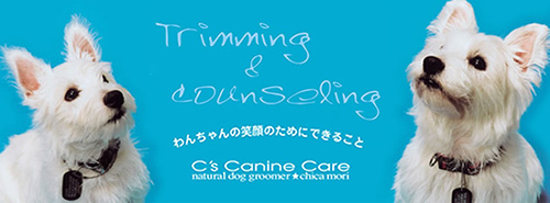 東京都大田区のトリミングサロン C's Canine Careしーずけーないんけあ