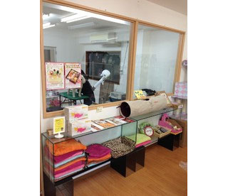 東京都大田区のトリミングサロン Pet's Life
