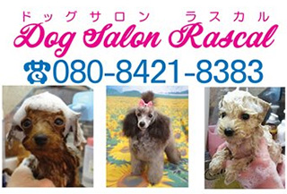 東京都葛飾区のトリミングサロン Dog Salon Rascal
