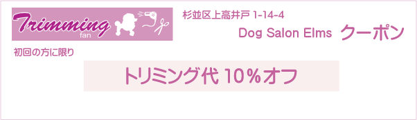 東京都杉並区のトリミングサロン Dog Salon Elmsのクーポン券