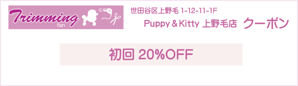東京都世田谷区のPuppy＆Kitty 上野毛店のクーポン券