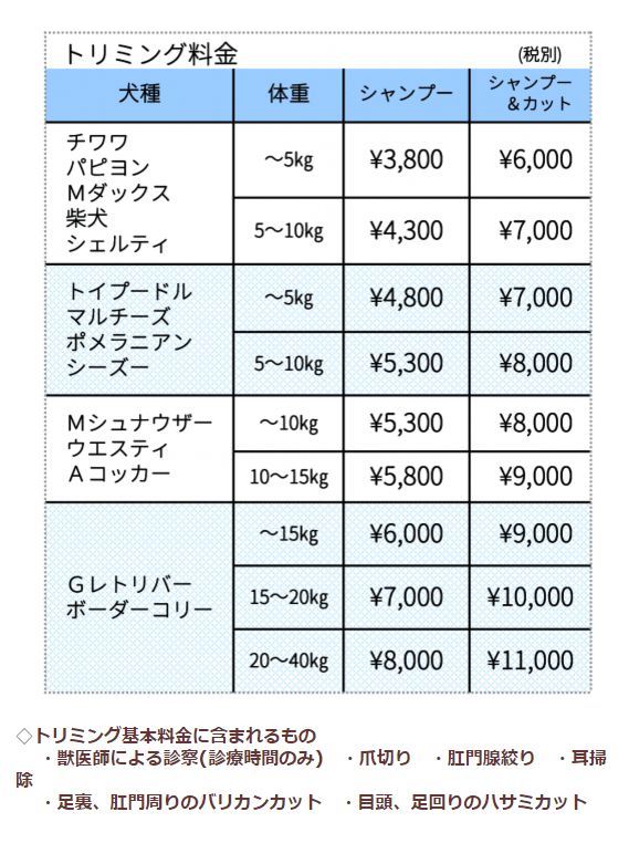 トイプードルは7000円からカットができます