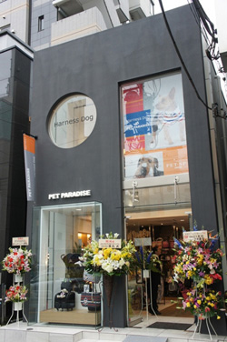 東京都目黒区のトリミングサロン PET-SPA 自由が丘店